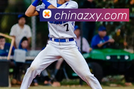 奖项证书